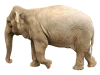 Captcha image 6041